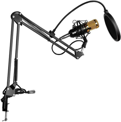 Podcast Microphone- Professional Microphone Setup