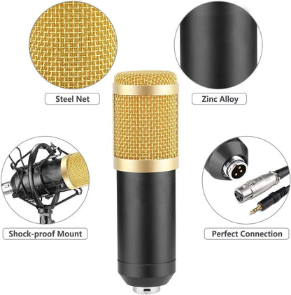 Podcast Microphone- Professional Microphone Setup